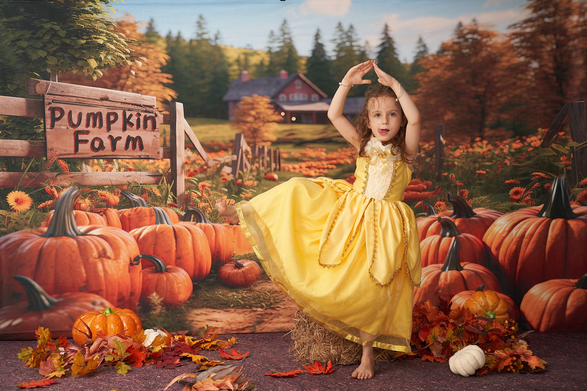 Kate Automne Ferme de citrouilles Toile de fond conçu par Emetselch - Kate Backdrop FR