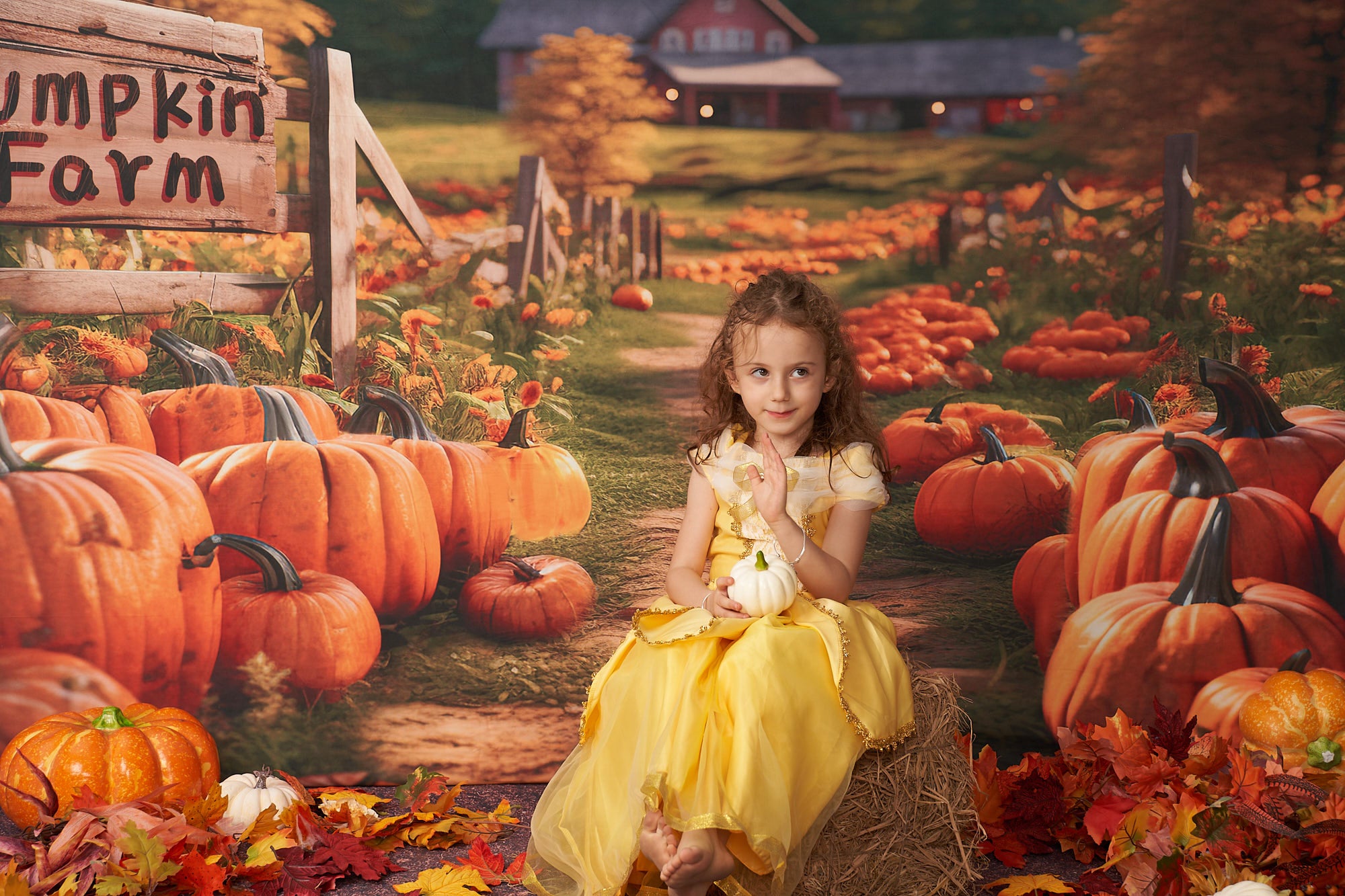 Kate Automne Ferme de citrouilles Toile de fond conçu par Emetselch - Kate Backdrop FR