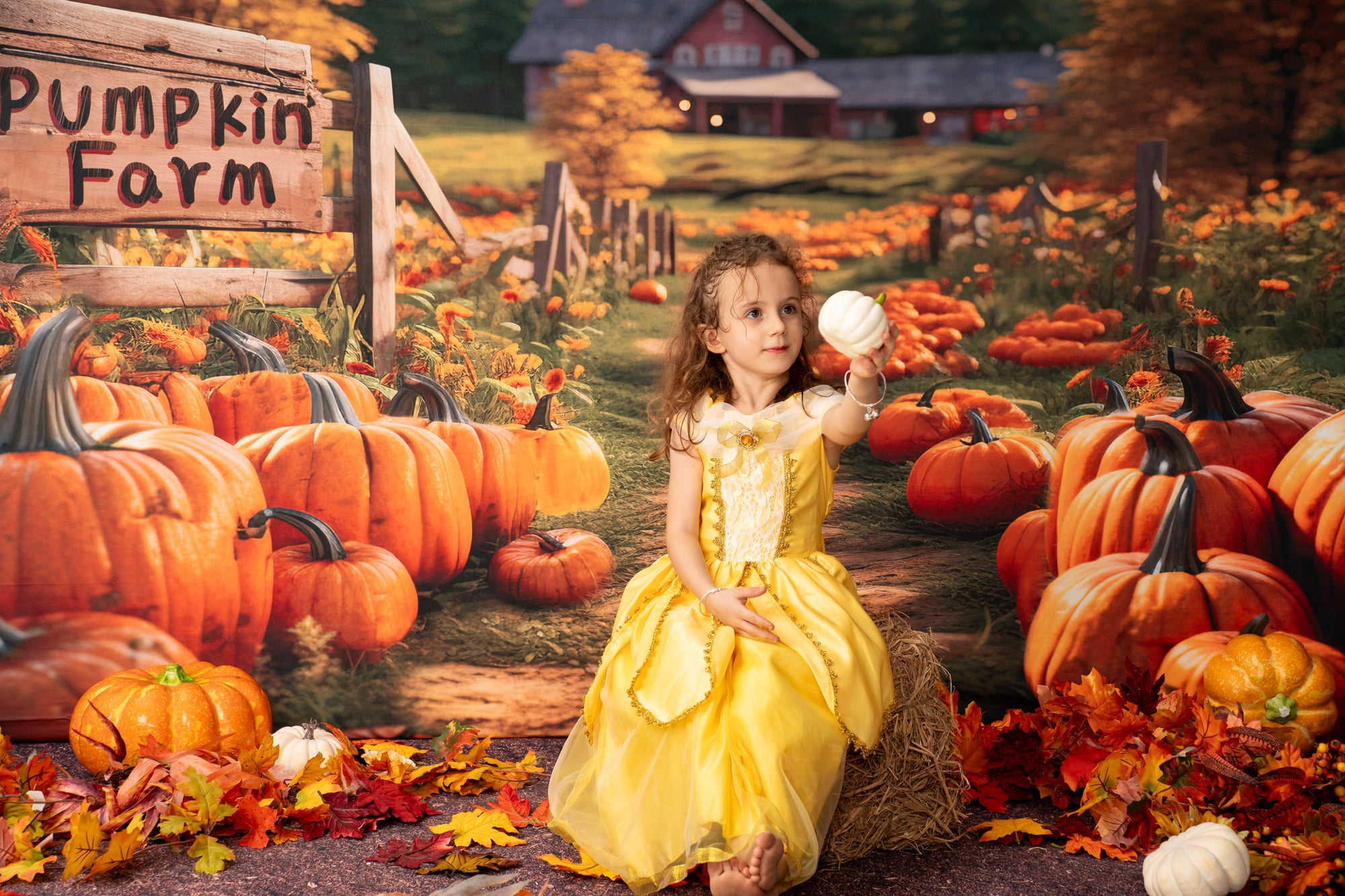 Kate Automne Ferme de citrouilles Toile de fond conçu par Emetselch