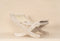Kate Chaise Pliante Accessoires de Photographie pour Animal de compagnie - Kate Backdrop FR