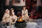 Kate Noël Neige Nuit Cadeau Camping-car Toile de fond conçue par Emetselch - Kate Backdrop FR