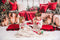 Kate Sapin de Noël Fenêtre Guirlande Couverture Toile de fond conçue par Emetselch - Kate Backdrop FR