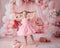 Kate Fleur Rideaux Ballon Rose Gâteau Toile de fond+Bois Rose clair Sol Toile de fond