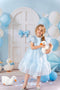 Kate Anniversaire Ballons Porte Canards Toile de fond conçue par Emetselch - Kate Backdrop FR