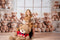 Kate Ours en peluche Fenêtre Anniversaire Toile de fond+Plancher en Bois Sol Toile de fond