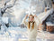 Kate Hiver Neige Maison Extérieur Kit Photo - Kate Backdrop FR