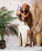 Kate Mur de briques Boho Rétro Toile de fond pour la photographie - Kate Backdrop FR