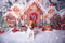 Kate Noël Maisons en pain d'épice Neige Toile de fond+Hiver Blanc Neige Sol Toile de fond - Kate Backdrop FR