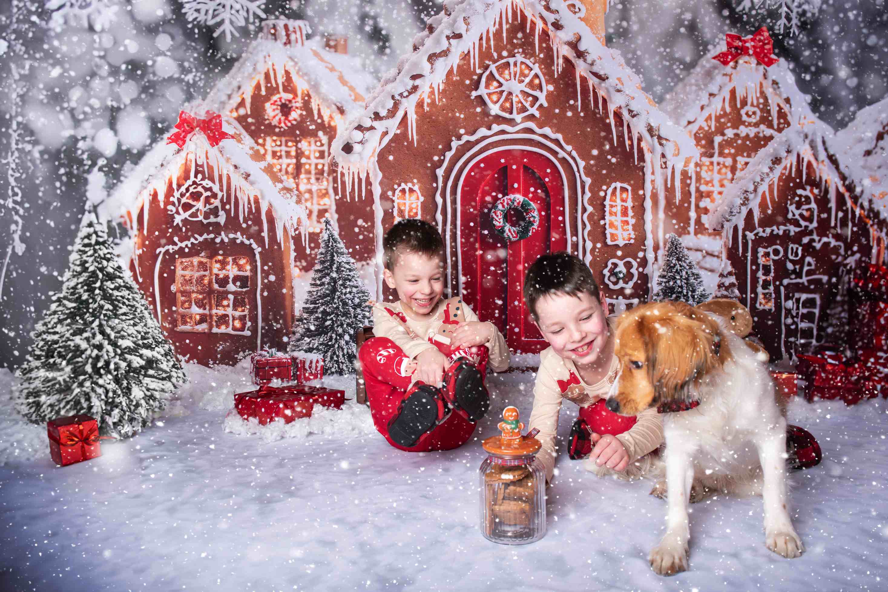 Kate Noël Maisons en pain d'épice Neige Toile de fond+Hiver Blanc Neige Sol Toile de fond - Kate Backdrop FR