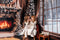 Kate Arbre de Noël Cheminée Mur en bois Ensemble de chambre