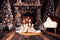 Kate Arbre de Noël Cheminée Mur en bois Ensemble de chambre