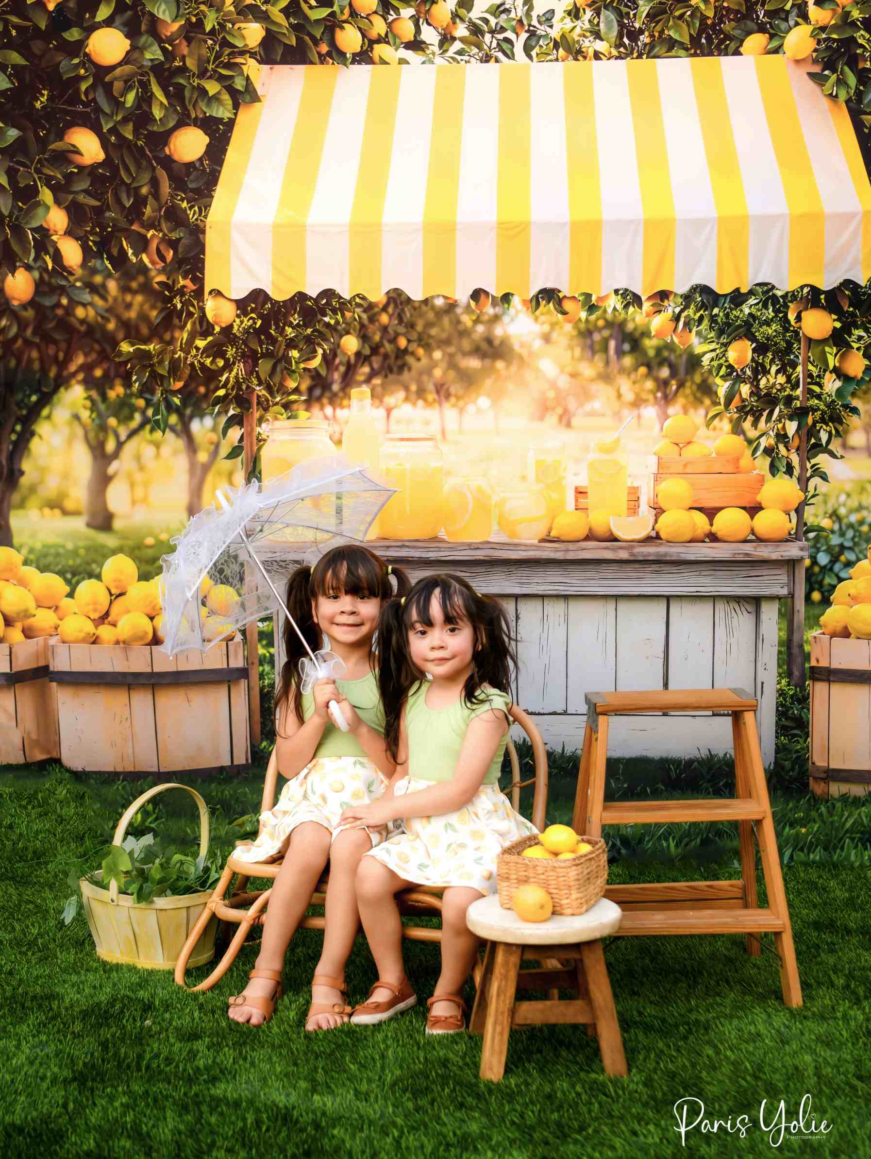 Kate Été Stand de Citron Verger Toile de fond conçue par Emetselch - Kate Backdrop FR