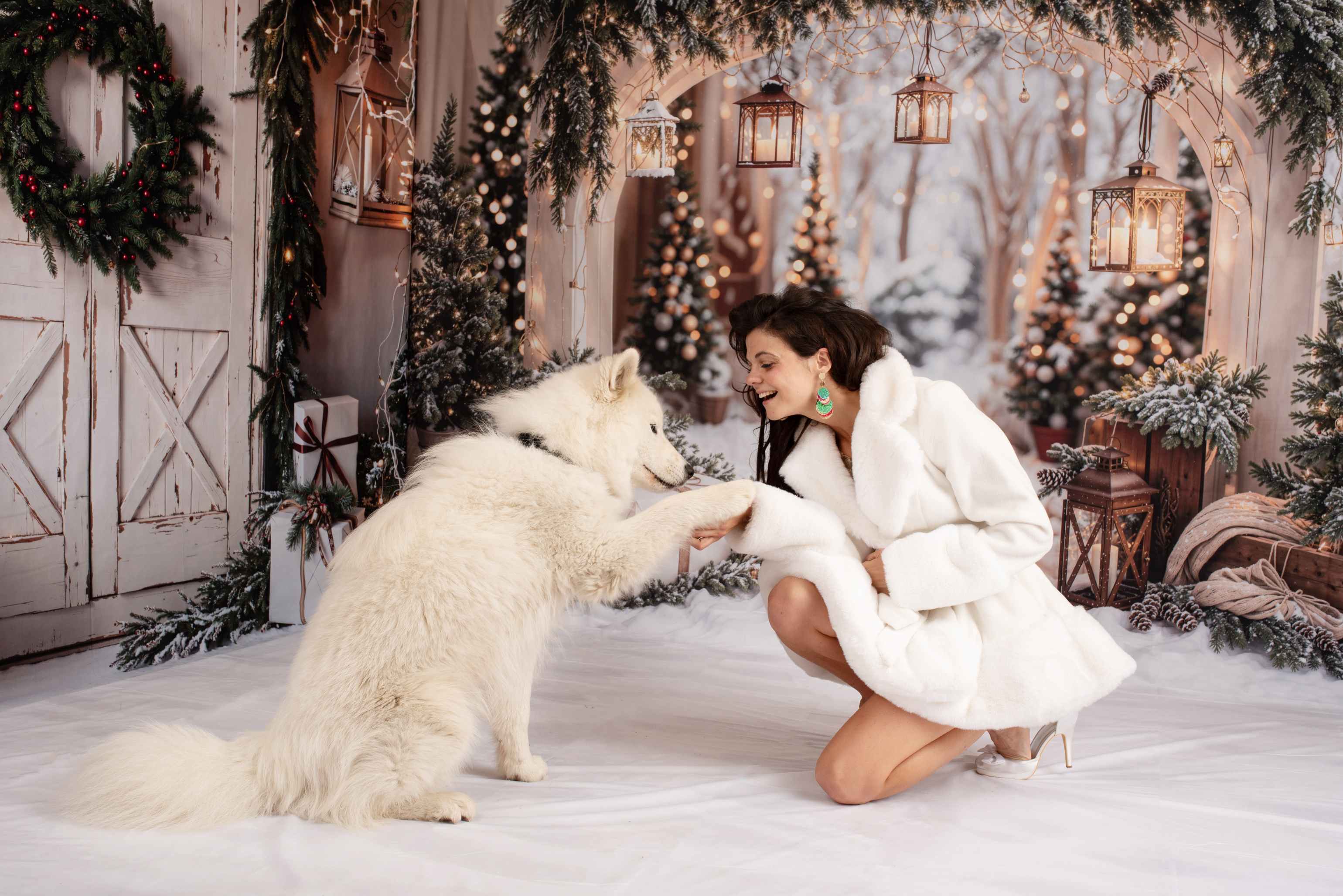 Kate Noël Arche Neige Arbres Porte Lumières Ensemble de chambre - Kate Backdrop FR
