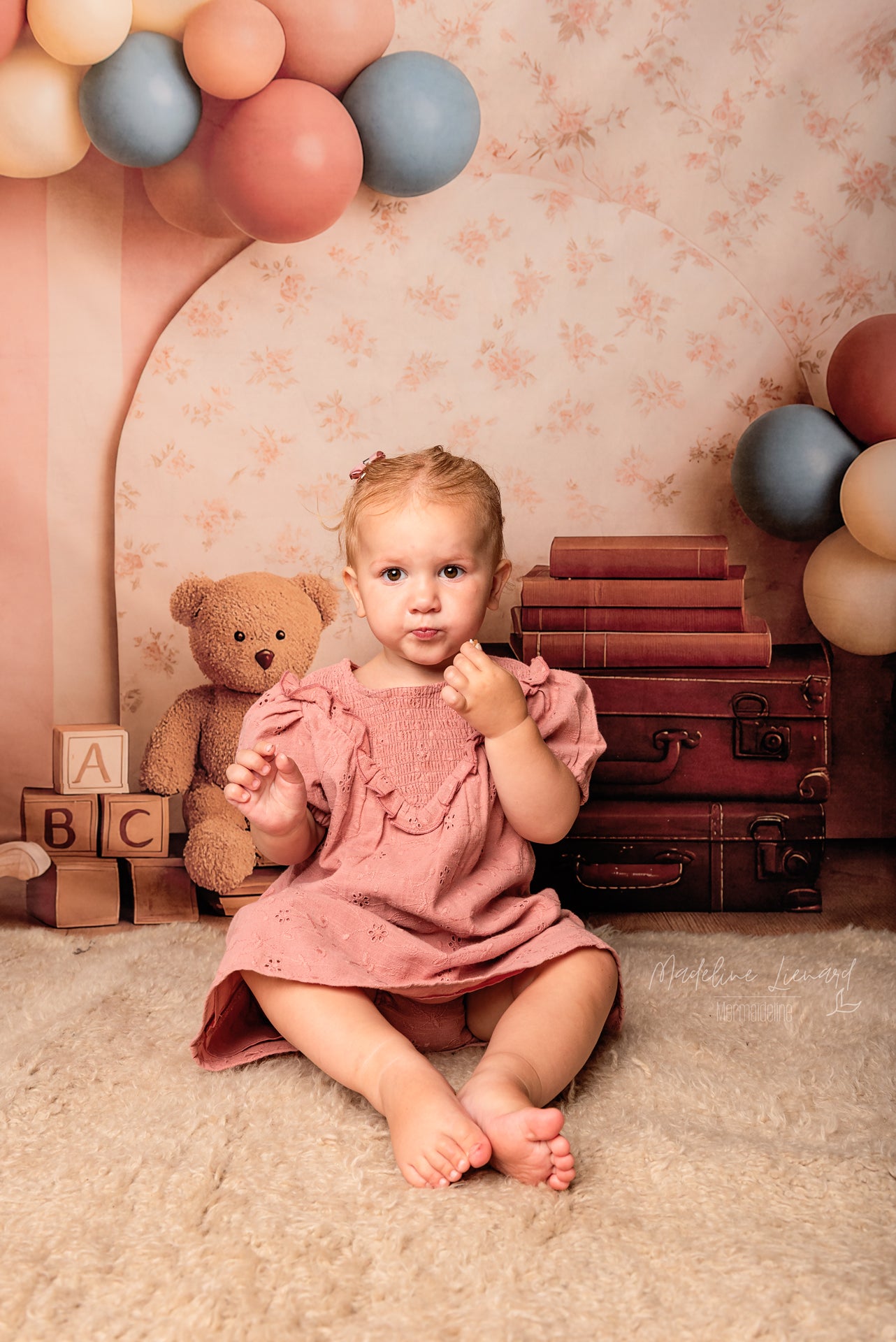 Kate Ours en peluche Valise Ballon Enfant Toile de fond conçue par Patty Roberts - Kate Backdrop FR