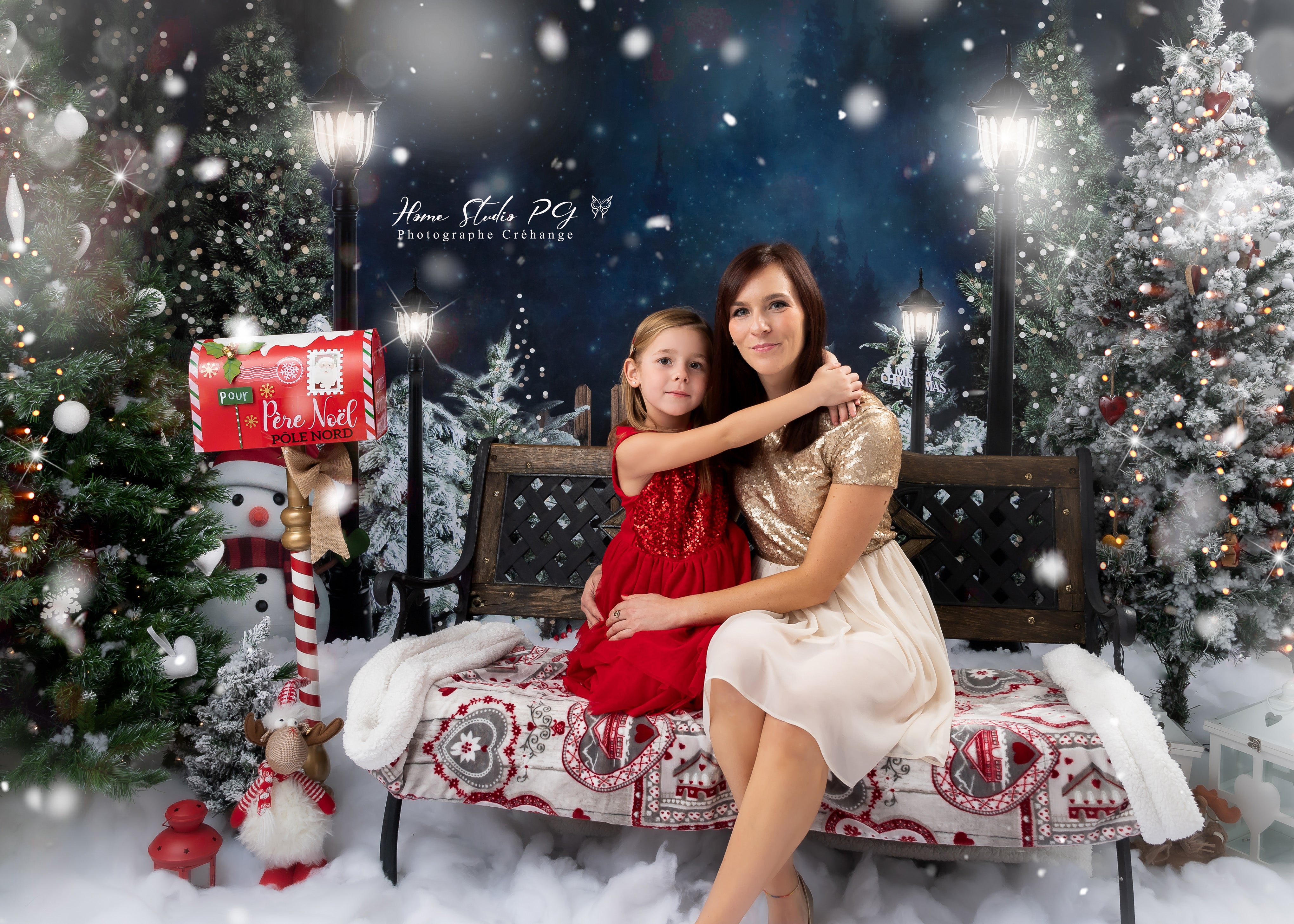 Kate Clôture Bonhomme de neige Noël Hiver Nuit Toile de fond pour la photographie