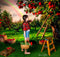 Kate Verger de pommes Arc-en-ciel Vert Toile de fond conçue par Mini MakeBelieve - Kate Backdrop FR