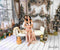 Offres Éclair #2 Kate Noël Blanc Fenêtre Cheminée Cadeaux Ensemble de chambre - Kate Backdrop FR