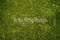 Kate Tapis de sol en caoutchouc Pays des merveilles Herbe Vert conçu par Arica Kirby - Kate Backdrop FR