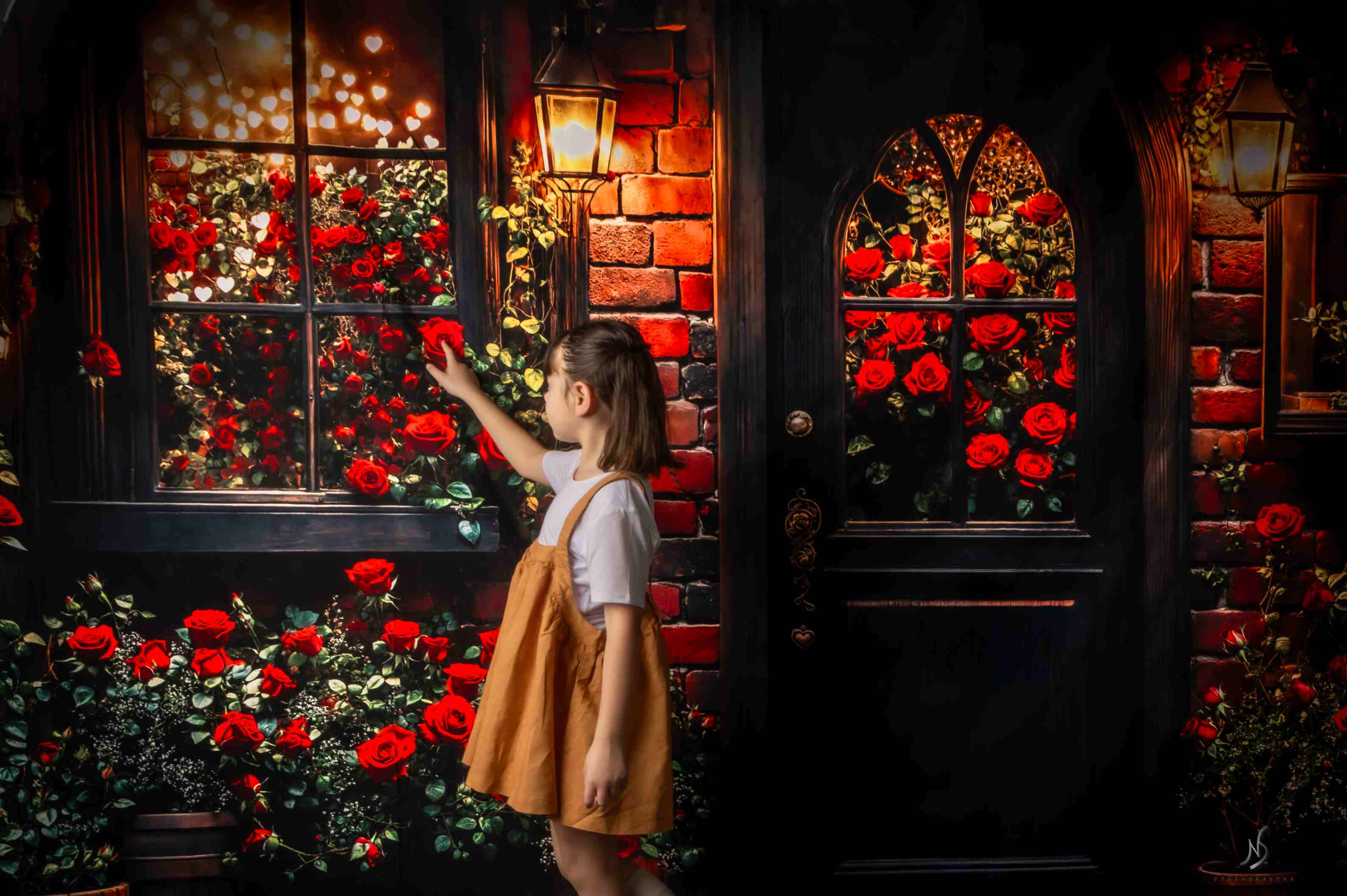 Kate Saint Valentin Roses Romantique Lumières Toile de fond conçue par Emetselch - Kate Backdrop FR