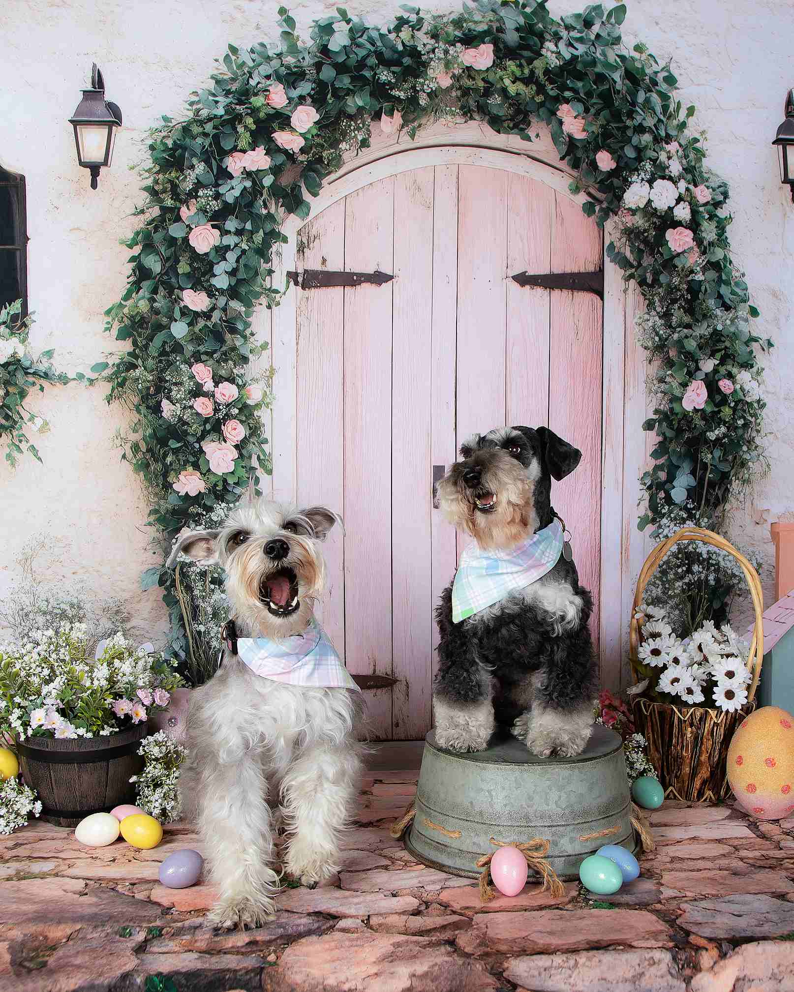 Kate Pâques Lapin Porte Rose Maison Toile de fond conçue par Patty Roberts - Kate Backdrop FR