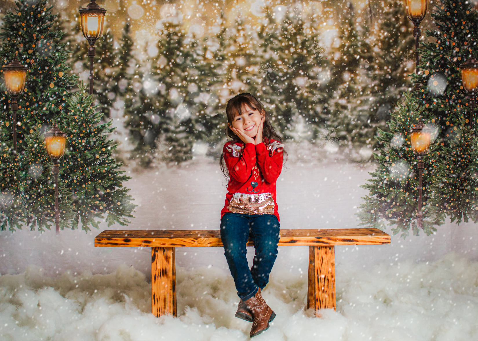 Kate Hiver Noël Neige Forêt Lumières Toile de fond en Laine pour la photographie - Kate Backdrop FR