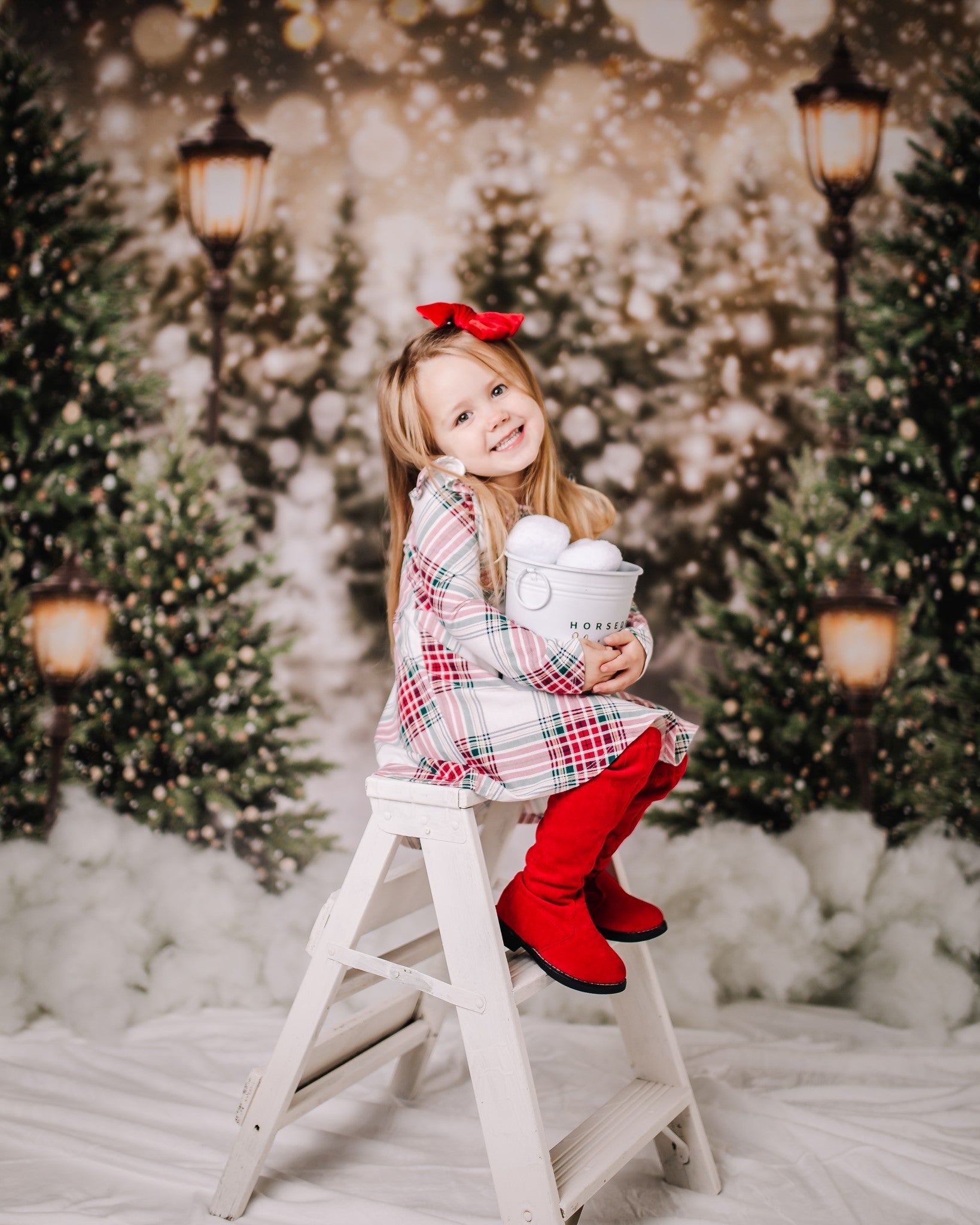 Kate Hiver Noël Neige Forêt Lumières Toile de fond en Laine pour la photographie - Kate Backdrop FR