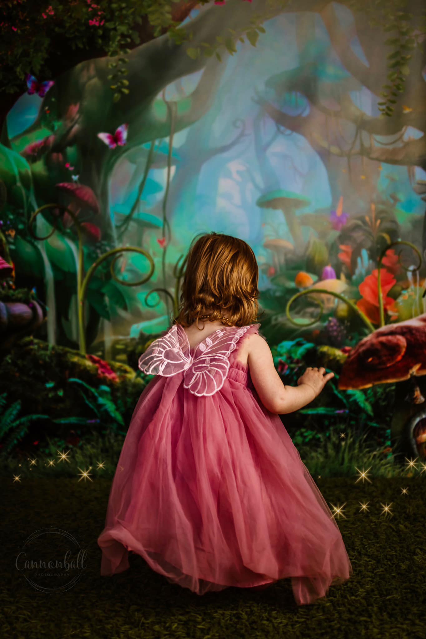 Kate Champignons Forêt Pays des merveilles Conte de fées Toile de fond - Kate Backdrop FR