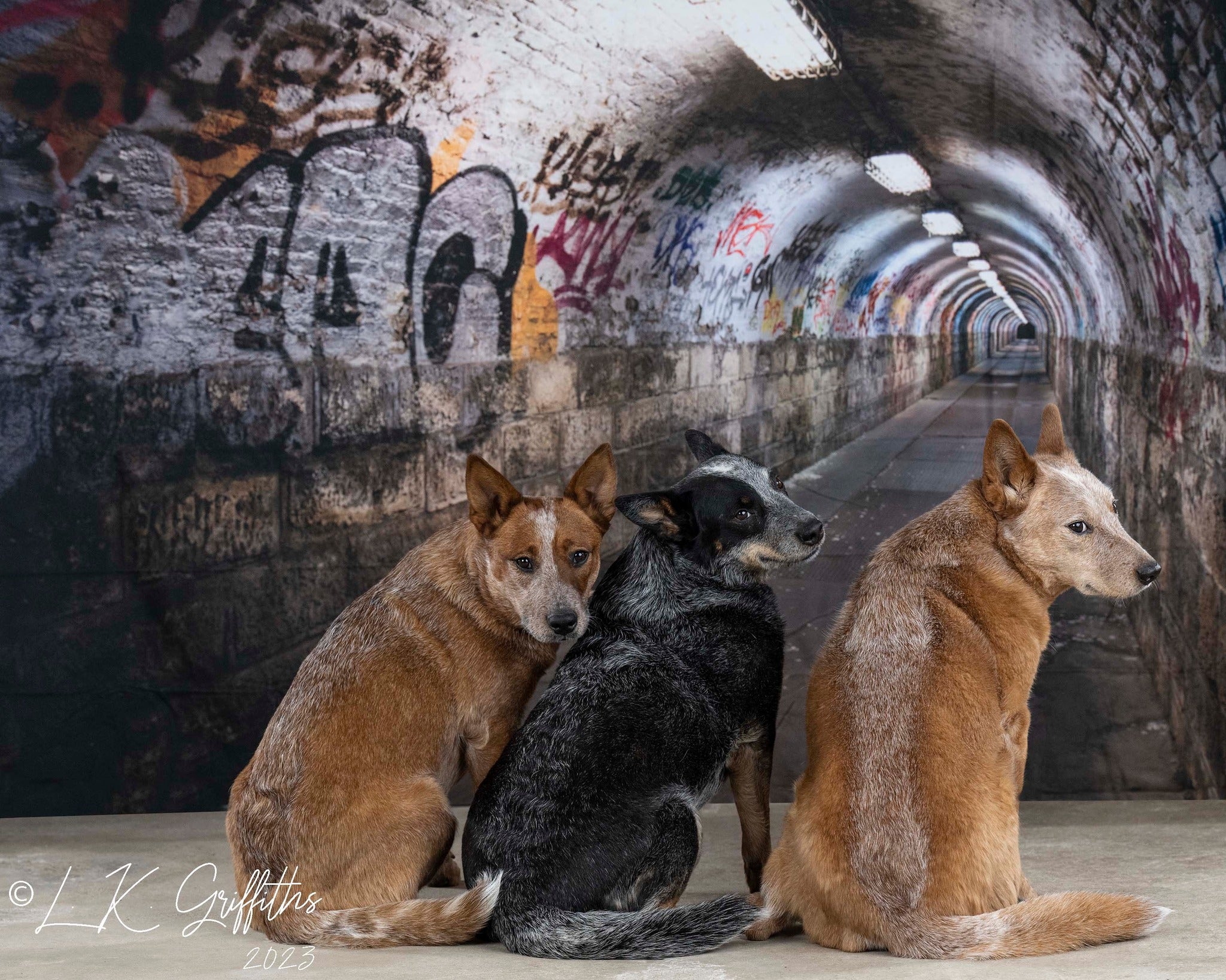 Kate Bâtiment Tunnel Mur de graffiti Toile de fond pour la photographie