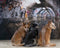 Kate Bâtiment Tunnel Mur de graffiti Toile de fond pour la photographie - Kate Backdrop FR