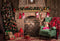 Kate Noël Cheminée Parloir Décorations Toile de fond pour la photographie - Kate Backdrop FR