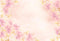 Kate Beaux-Arts Fleur Combinaison Toiles de fond pour la photographie - Kate Backdrop FR