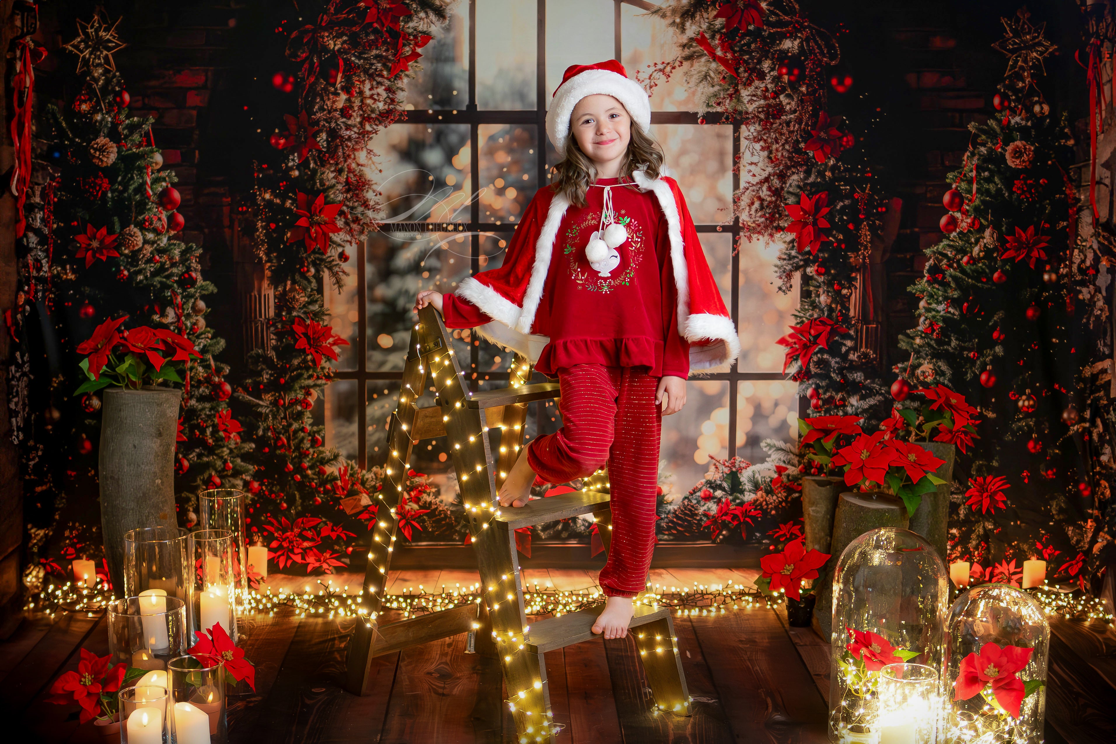 Offres Éclair #1 Kate Arbre de Noël Fenêtre Rouge Intérieur Toile de fond conçue par Emetselch - Kate Backdrop FR