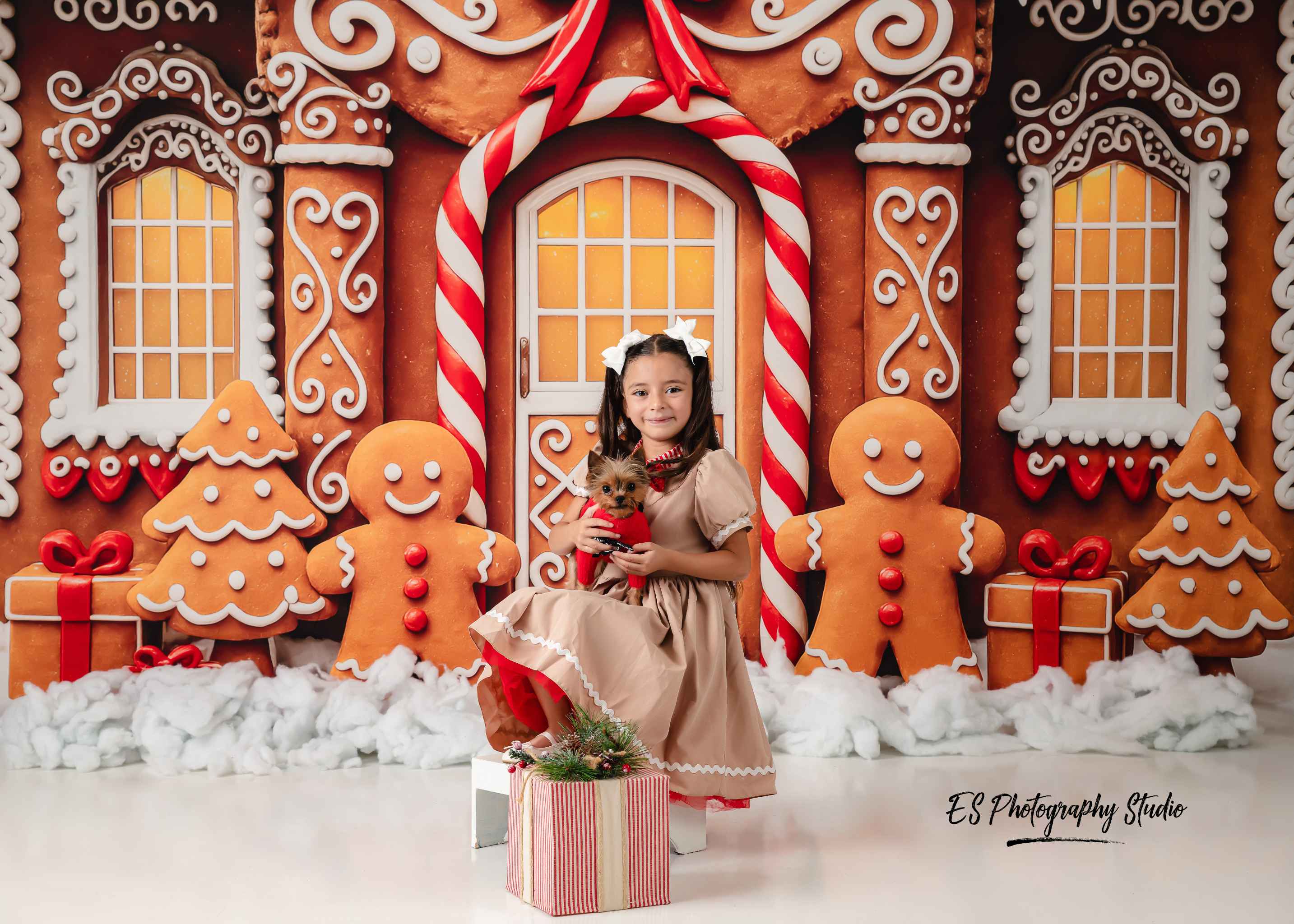 Kate Noël Maison en Pain d'épices Brun Toile de fond conçue par Patty Roberts - Kate Backdrop FR
