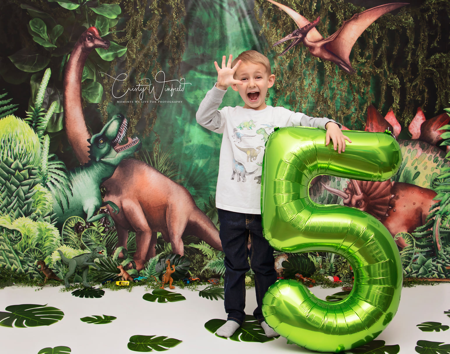 Kate Été Jungle Aventure Dinosaures Toile de fond conçue par Mandy Ringe - Kate Backdrop FR