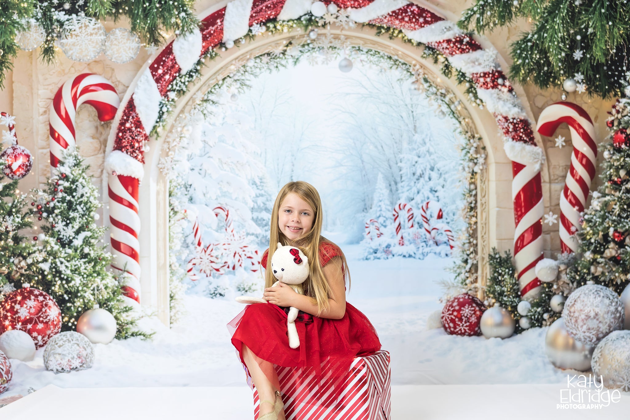 Kate Noël Arche Neige Décorations Toile de fond conçue par Emetselch