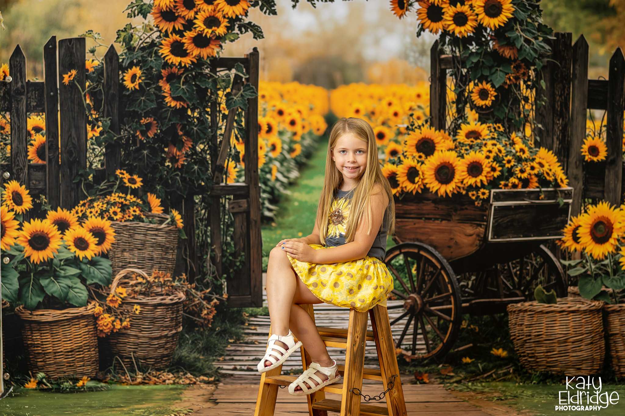 Kate Automne Tournesol Panier Chemin Toile de fond+Chemin en Bois Herbe Sol Toile de fond
