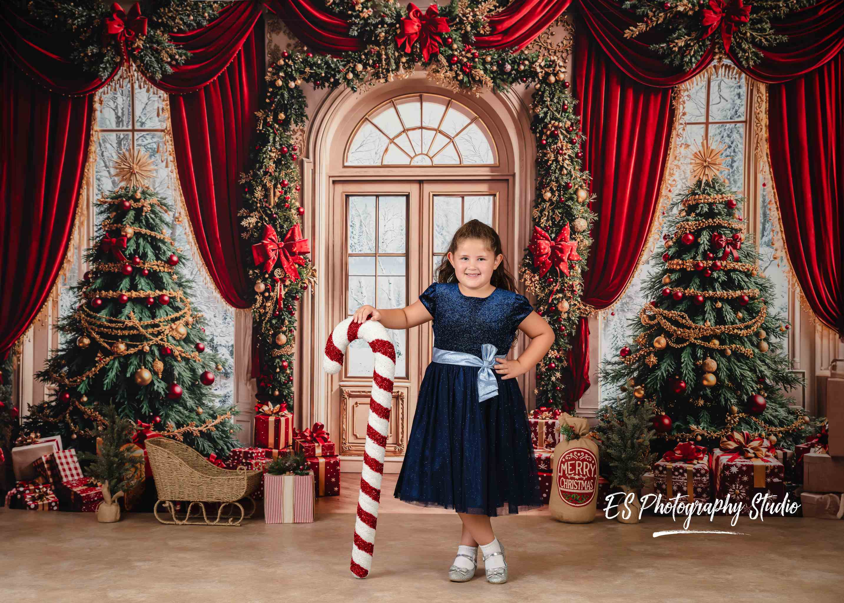 Kate Noël Sapins Fenêtre Cadeaux Rouge Toile de fond conçue par Emetselch - Kate Backdrop FR