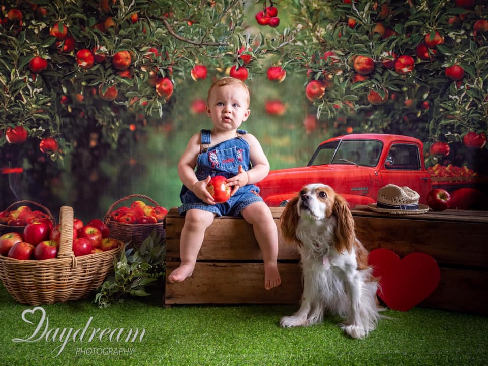 Kate Verger de pommes Rouge Camion Toile de fond conçue par Rosabell Photographie - Kate Backdrop FR