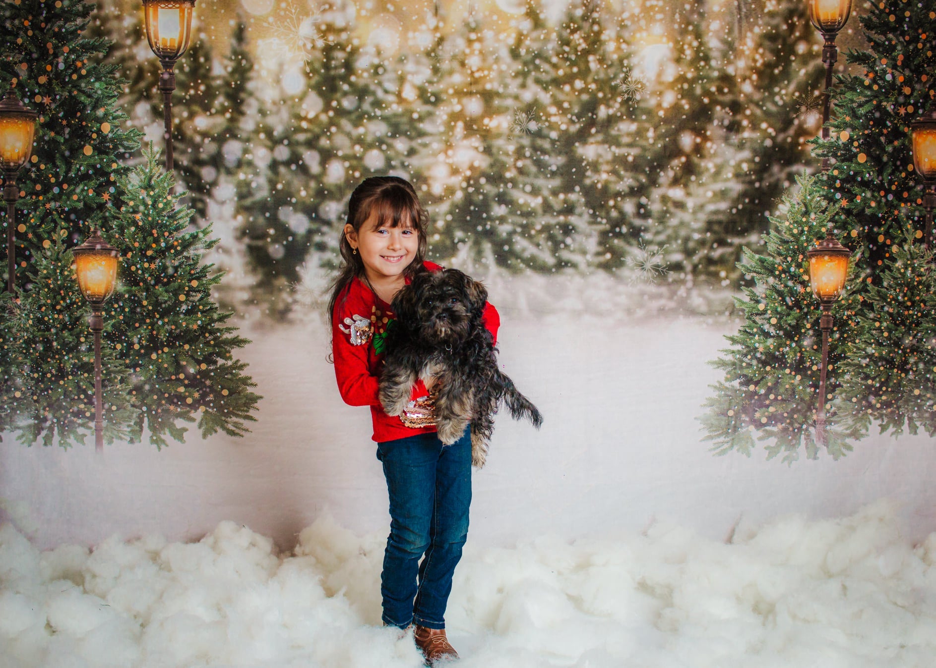 Kate Hiver Noël Neige Forêt Lumières Toile de fond en Laine pour la photographie - Kate Backdrop FR