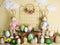 Kate Pâques Lapin Oeuf Jardin Toile de fond conçue par Mandy Ringe - Kate Backdrop FR