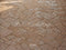 Kate Pierre Boueux Extérieur Sol Toile de fond conçue par Kate Image - Kate Backdrop FR