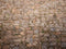 Kate Pierre boueux Sol Toile de fond conçue par Kate Image - Kate Backdrop FR
