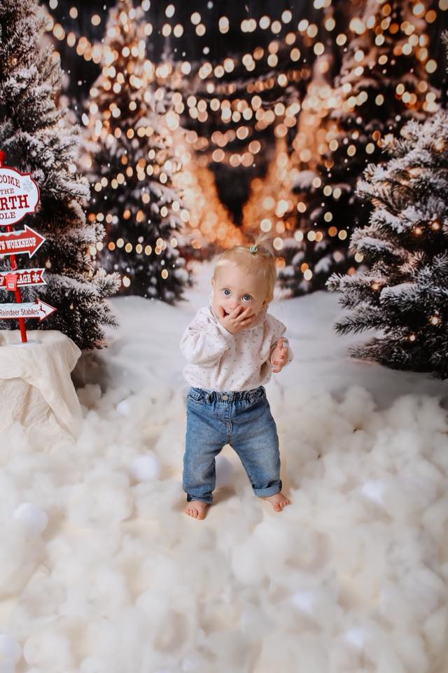 Kate Sapins de Noël Neige Lumières Toile de fond conçue par Emetselch - Kate Backdrop FR