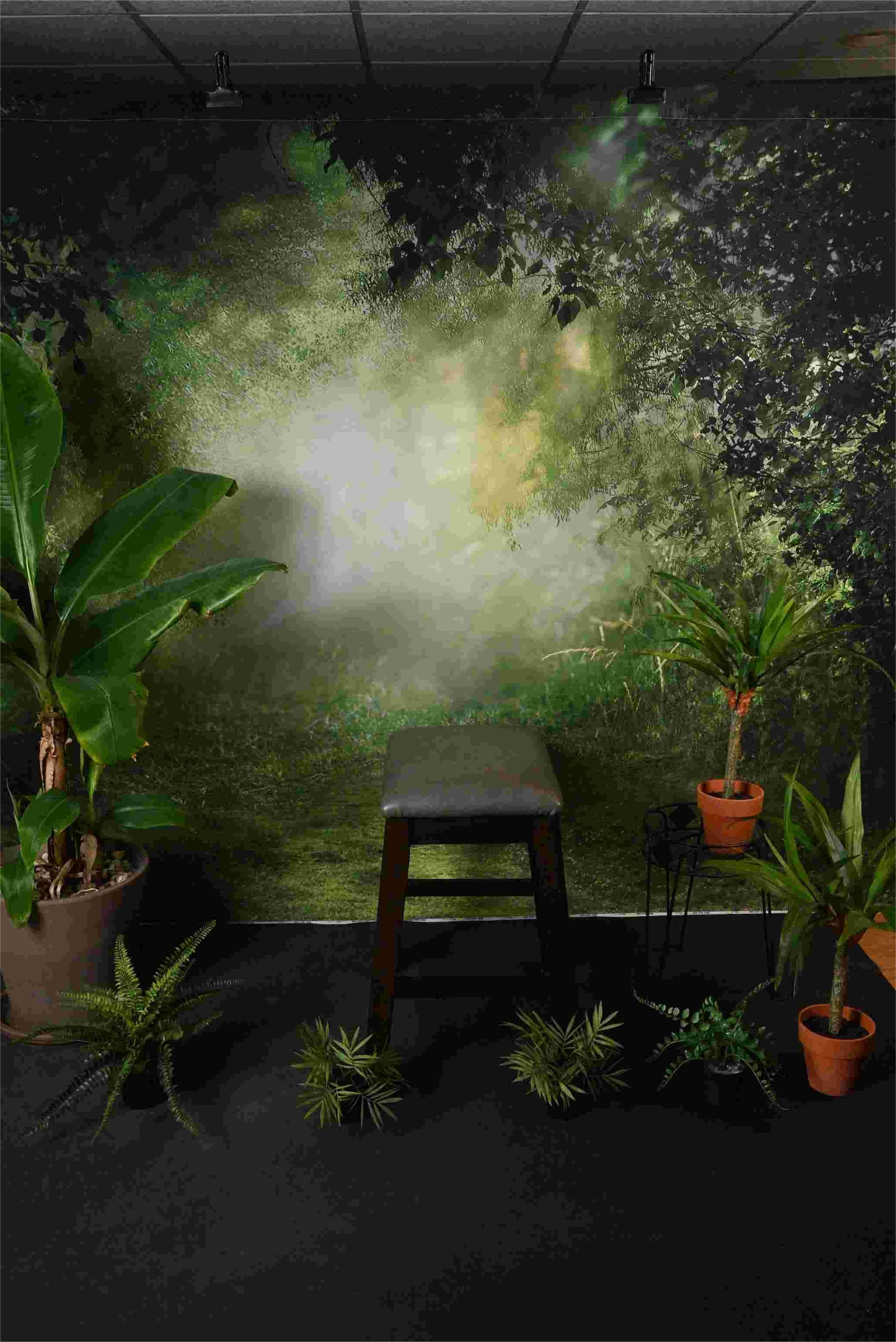 Kate Printemps Vert Jungle Forêt Toile de fond Conçu par Chain Photographie