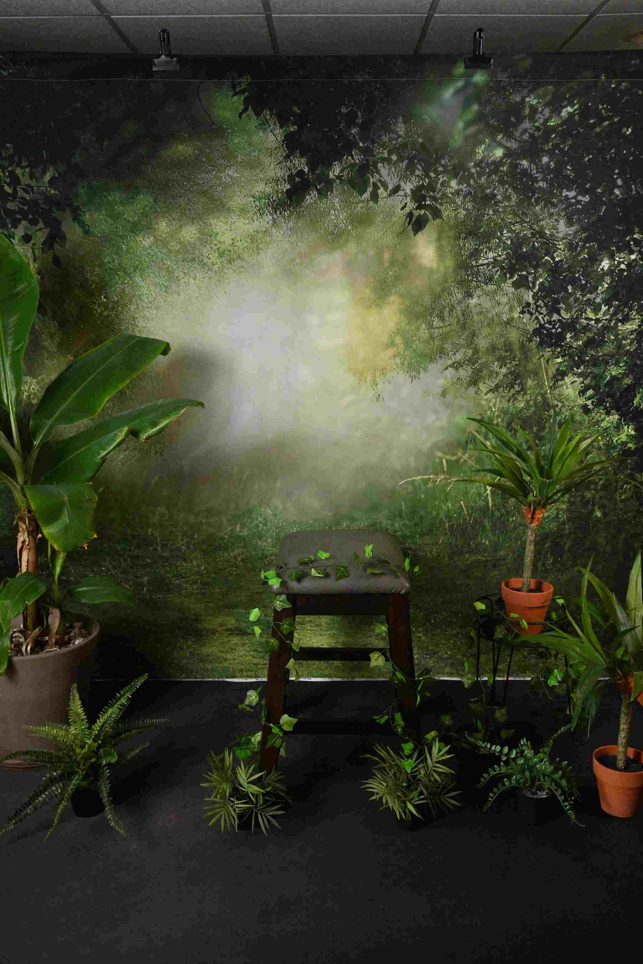 Kate Printemps Vert Jungle Forêt Toile de fond Conçu par Chain Photographie - Kate Backdrop FR