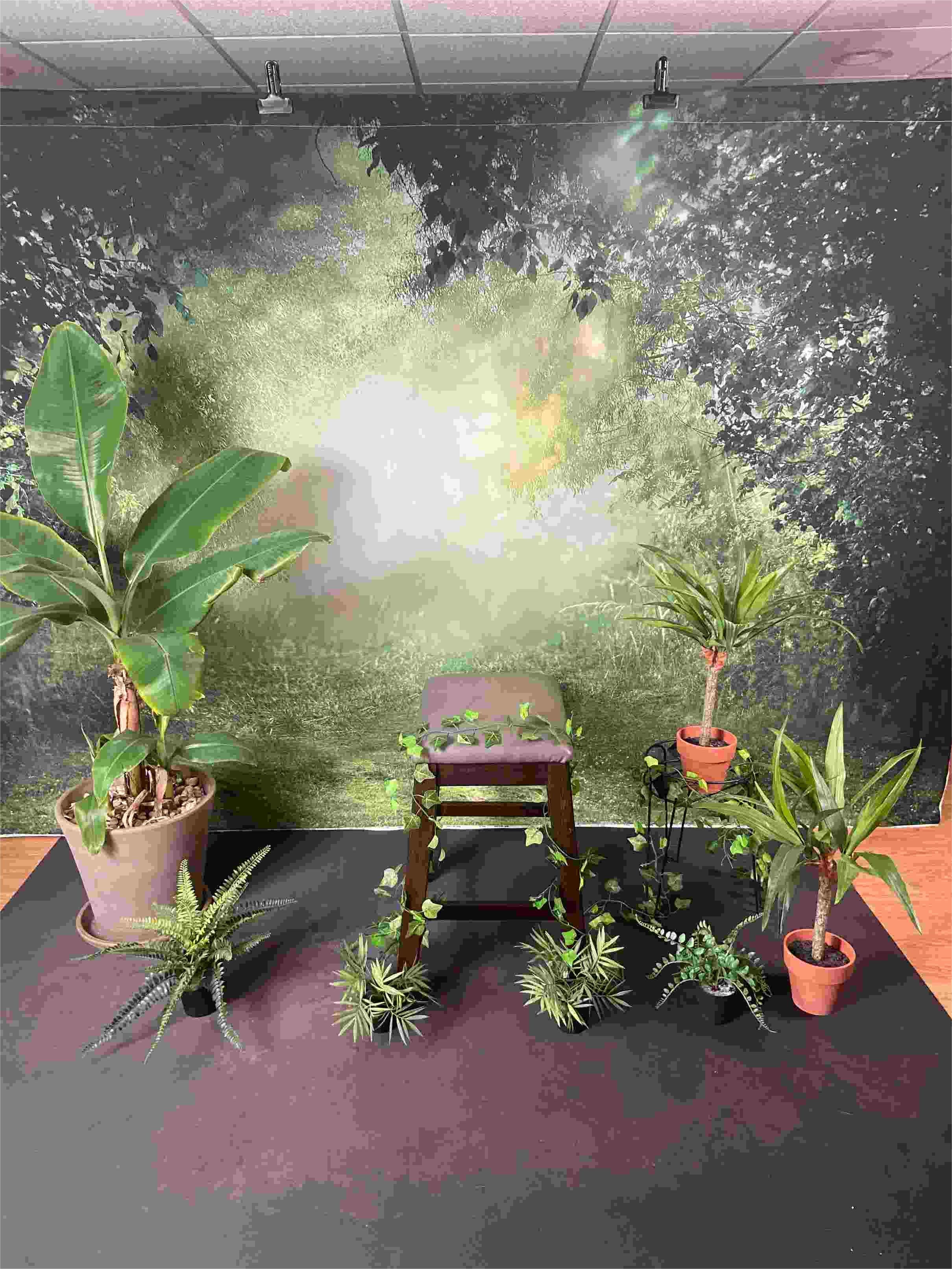 Kate Printemps Vert Jungle Forêt Toile de fond Conçu par Chain Photographie - Kate Backdrop FR