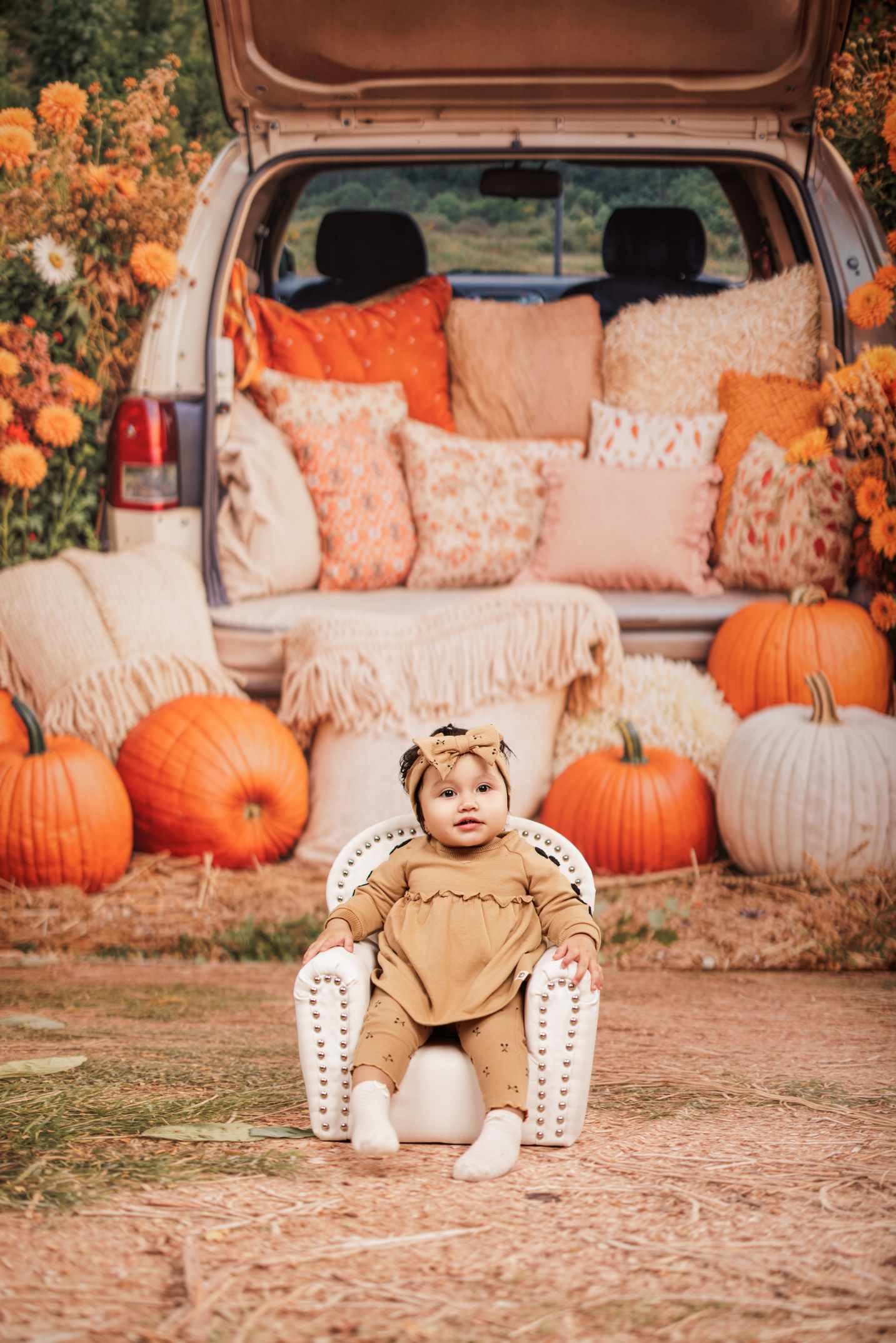 Kate Automne Citrouilles Foin Voiture Toile de fond+Herbe Sèche Terre Sol Toile de fond - Kate Backdrop FR