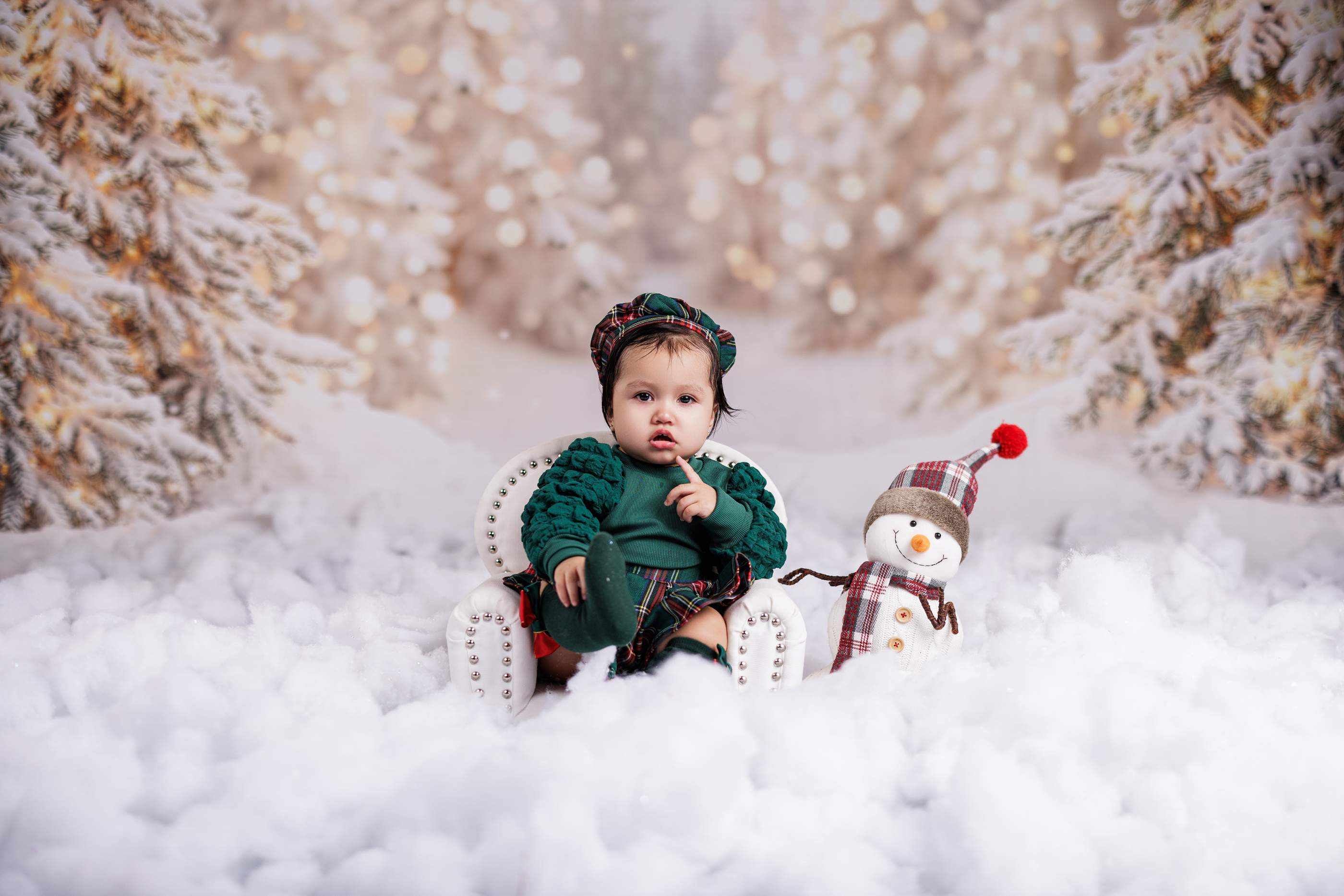 Kate Hiver Arbres Neige Lumières Toile de fond conçue par Emetselch