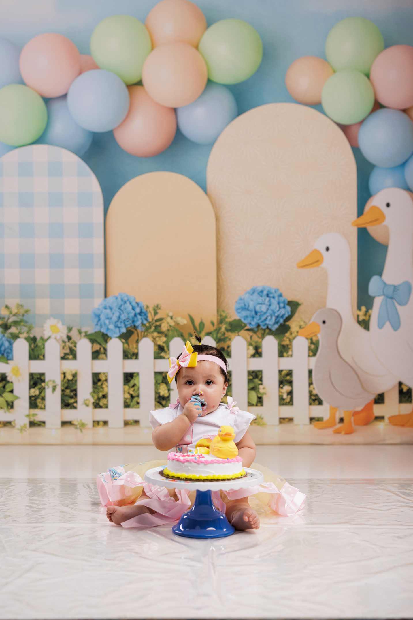 Kate Anniversaire Jardin Oies Pastel Ballons Toile de fond conçue par Patty Roberts - Kate Backdrop FR