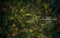 Kate Tapis de sol en caoutchouc Forêt Verdure conçue par Mandy Ringe Photography - Kate Backdrop FR